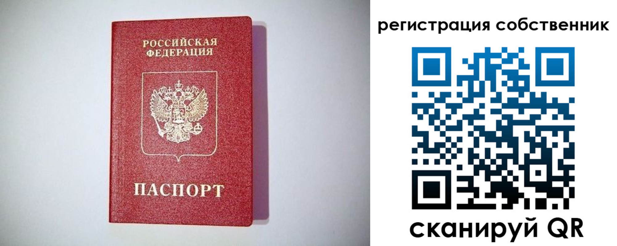 временная регистрация в Почепе